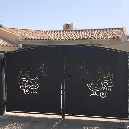 Corallo فيلة